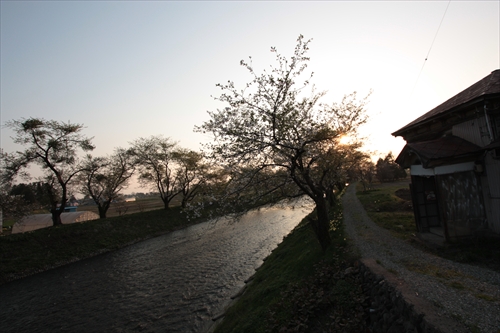 f:id:mifasorashido:20130512220300j:image