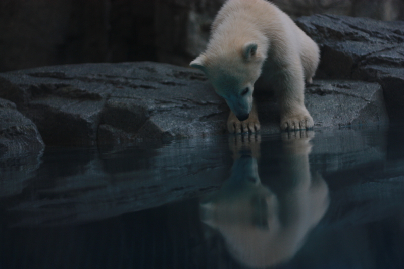 f:id:mifasorashido:20130531212617j:image f:id:mifasorashido:20130531212617j:image