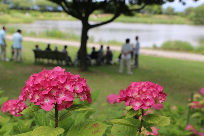 f:id:mifasorashido:20140624215332j:image f:id:mifasorashido:20140624215332j:image