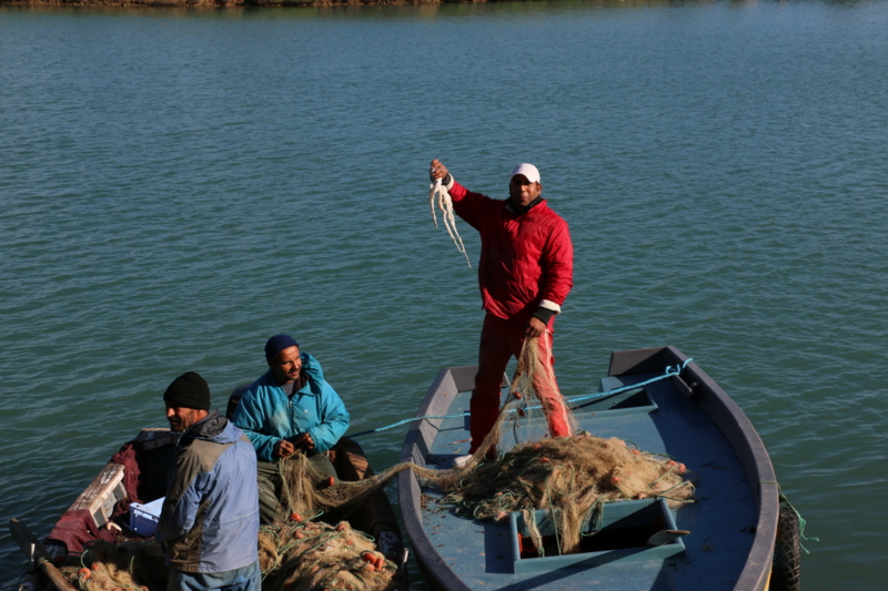 f:id:mifasorashido:20150112140123j:image f:id:mifasorashido:20150112140123j:image