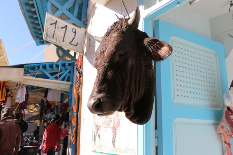 f:id:mifasorashido:20150112140201j:image f:id:mifasorashido:20150112140201j:image