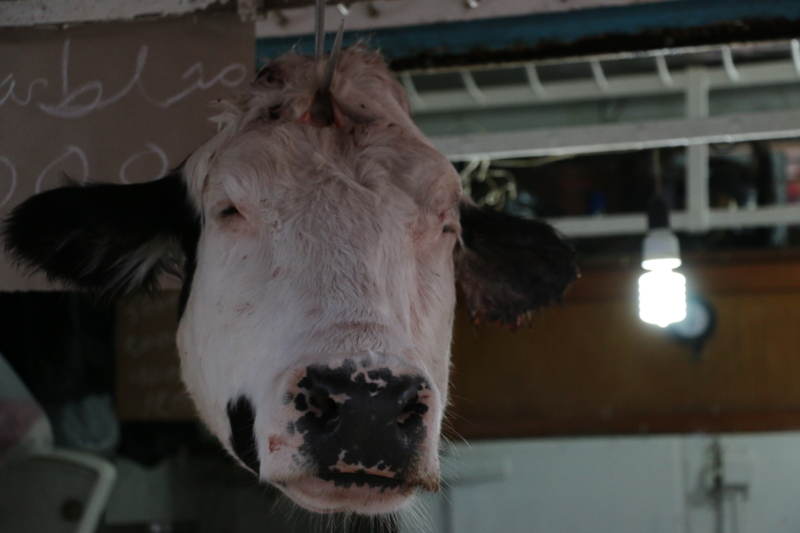 f:id:mifasorashido:20150117230605j:image f:id:mifasorashido:20150117230605j:image