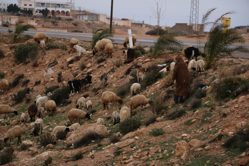 f:id:mifasorashido:20150117230610j:image f:id:mifasorashido:20150117230610j:image