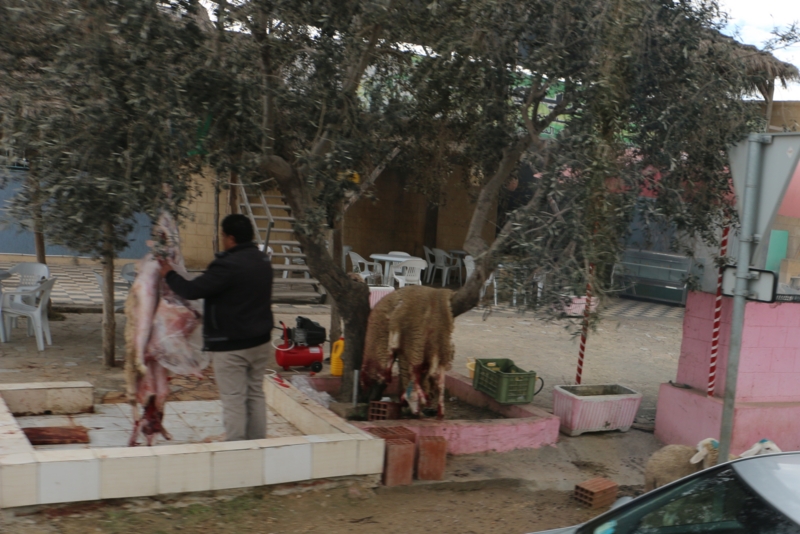 f:id:mifasorashido:20150117230614j:image f:id:mifasorashido:20150117230614j:image