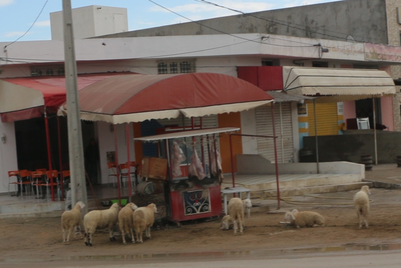 f:id:mifasorashido:20150117230615j:image f:id:mifasorashido:20150117230615j:image