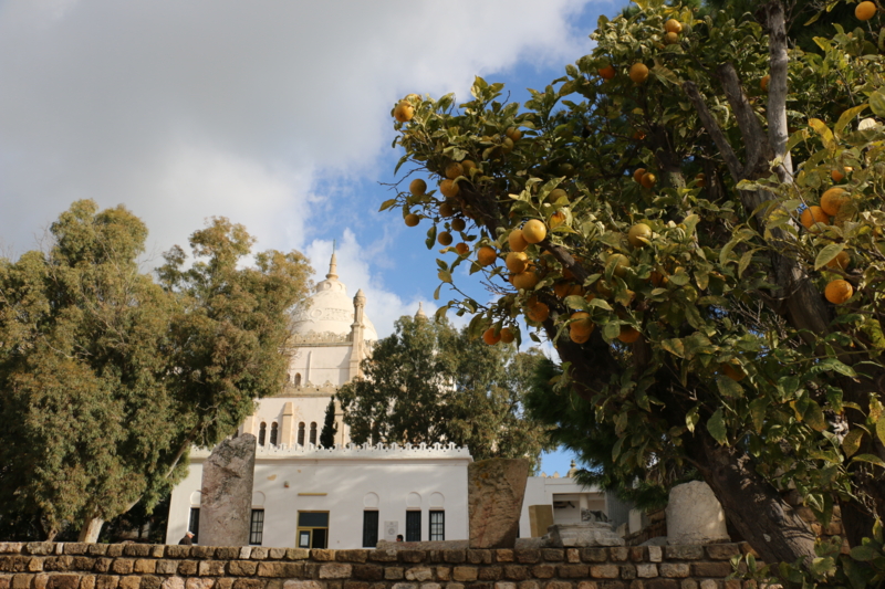 f:id:mifasorashido:20150118001258j:image f:id:mifasorashido:20150118001258j:image