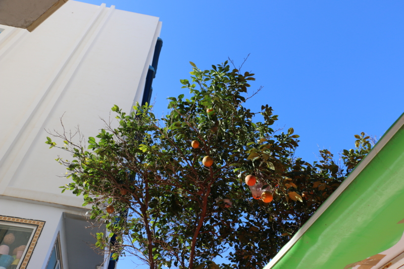 f:id:mifasorashido:20150118001300j:image f:id:mifasorashido:20150118001300j:image