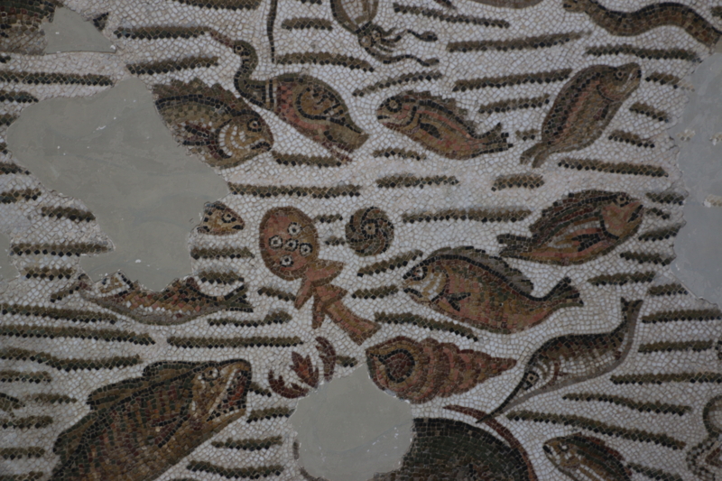 f:id:mifasorashido:20150319202712j:image f:id:mifasorashido:20150319202712j:image