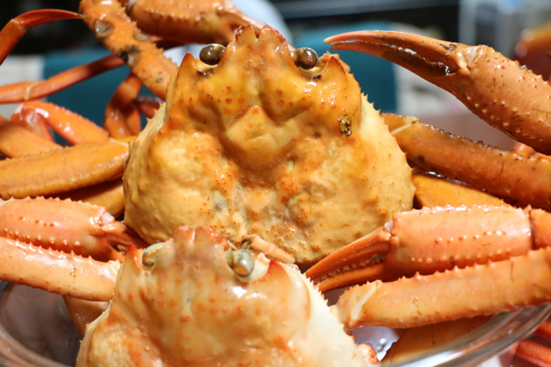 f:id:mifasorashido:20150404230843j:image f:id:mifasorashido:20150404230843j:image