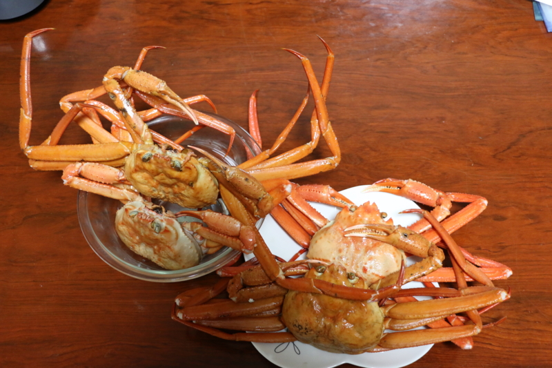 f:id:mifasorashido:20150404230844j:image f:id:mifasorashido:20150404230844j:image