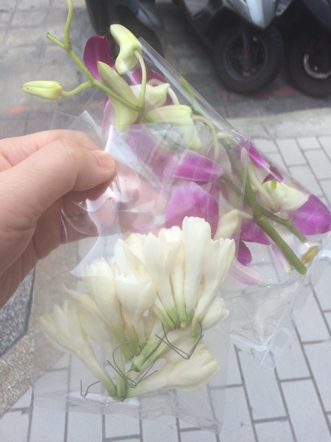 f:id:mignon216:20150417154431j:plain f:id:mignon216:20150417154431j:plain