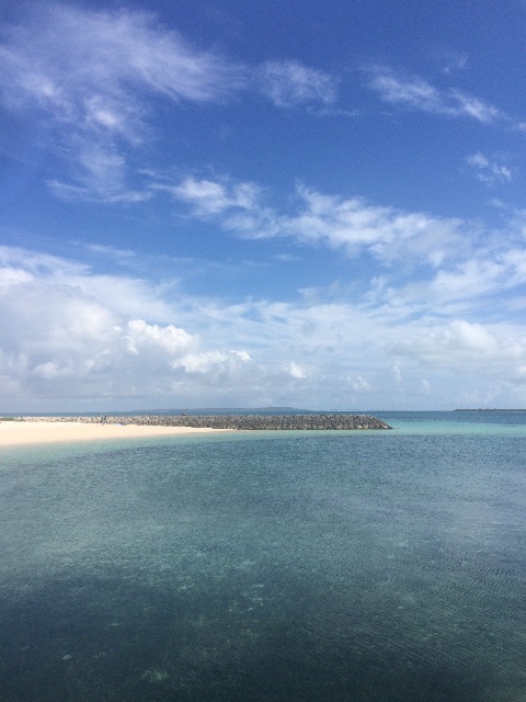 f:id:mignon216:20150615195538j:image f:id:mignon216:20150615195538j:image