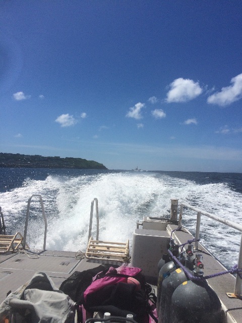f:id:mignon216:20150617145144j:image f:id:mignon216:20150617145144j:image