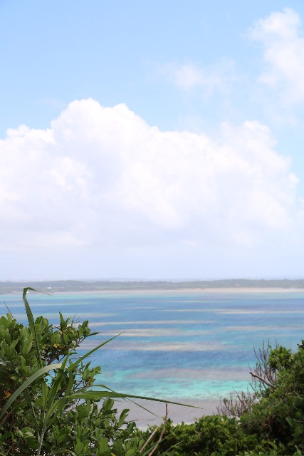 f:id:mignon216:20150619002005j:image f:id:mignon216:20150619002005j:image