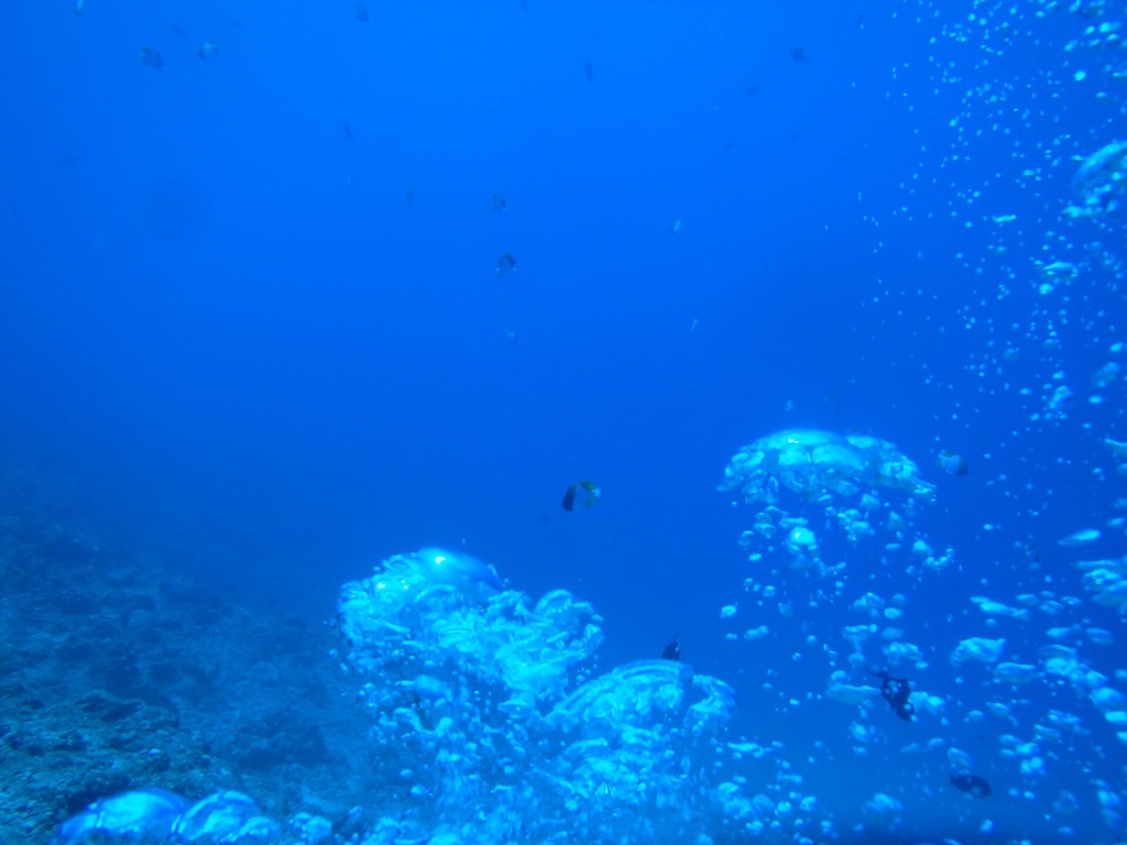 f:id:mignon216:20150728043433j:image f:id:mignon216:20150728043433j:image