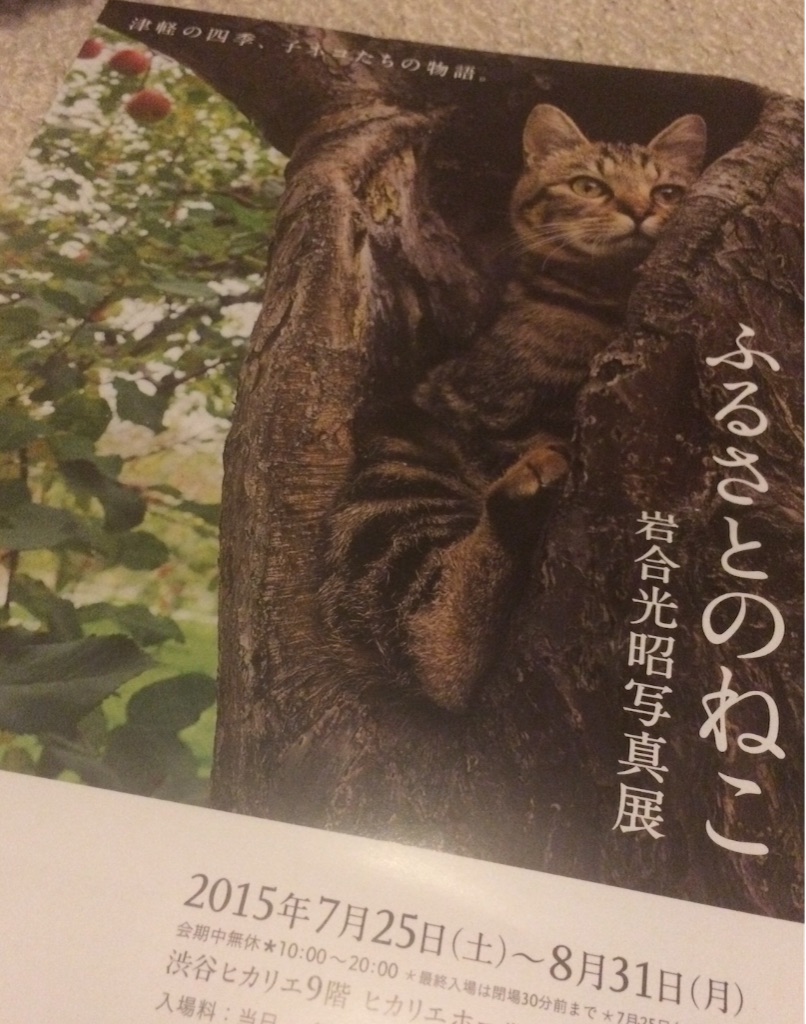 f:id:mignon216:20150812233917j:image f:id:mignon216:20150812233917j:image