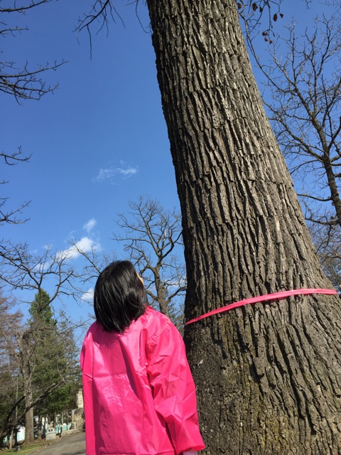 f:id:miho-tachikawa:20150421185653j:plain f:id:miho-tachikawa:20150421185653j:plain