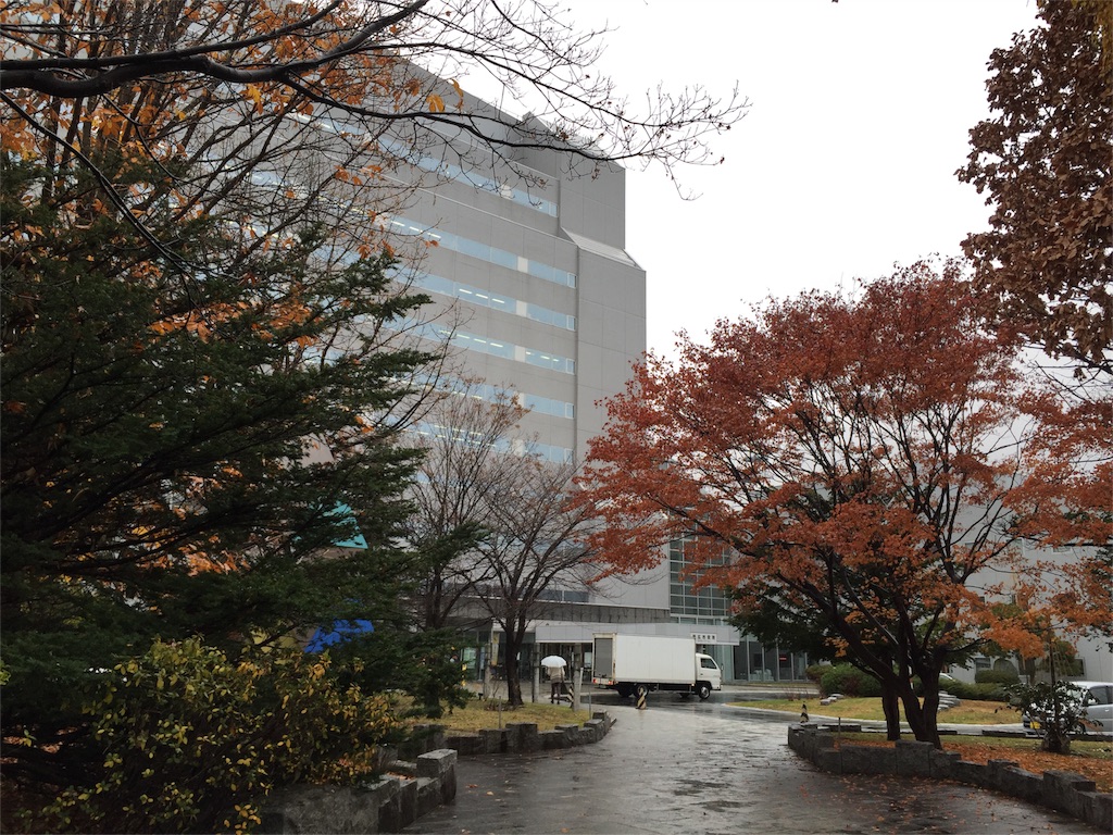 f:id:miho-tachikawa:20151113120905j:image f:id:miho-tachikawa:20151113120905j:image
