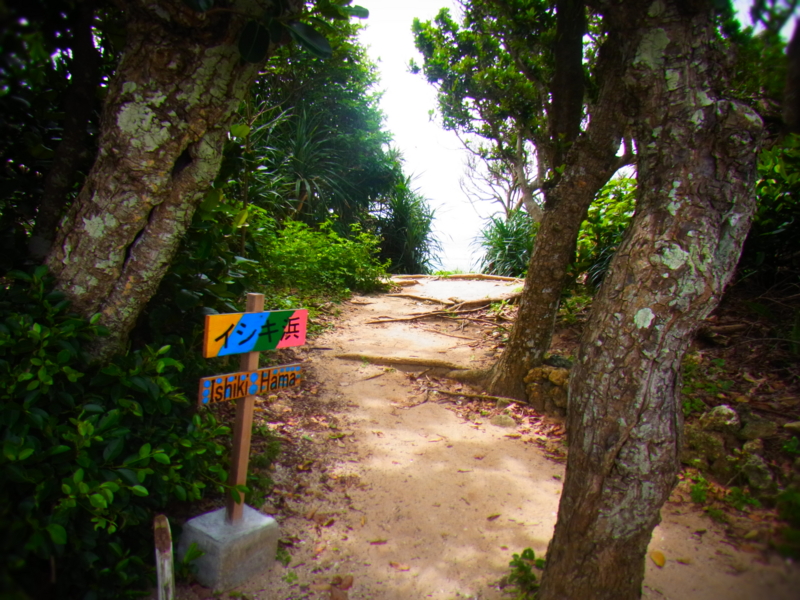 f:id:mihocomiho:20120526105916j:image f:id:mihocomiho:20120526105916j:image
