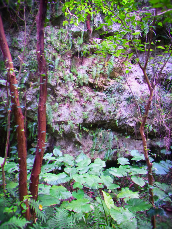 f:id:mihocomiho:20120526152159j:image f:id:mihocomiho:20120526152159j:image