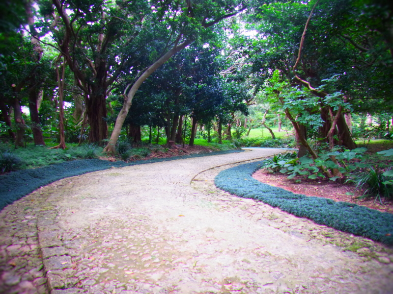 f:id:mihocomiho:20120527122309j:image f:id:mihocomiho:20120527122309j:image