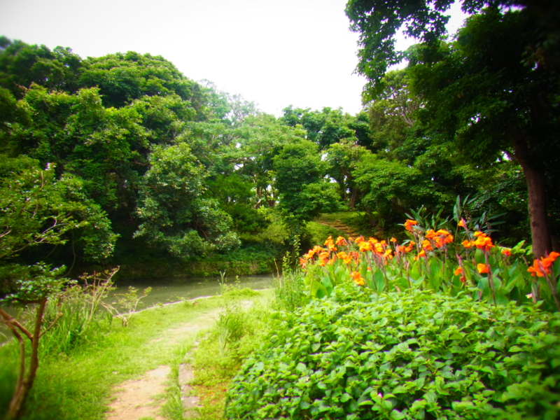 f:id:mihocomiho:20120527123102j:image f:id:mihocomiho:20120527123102j:image