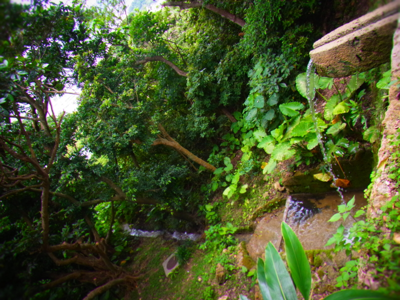 f:id:mihocomiho:20120527123444j:image f:id:mihocomiho:20120527123444j:image
