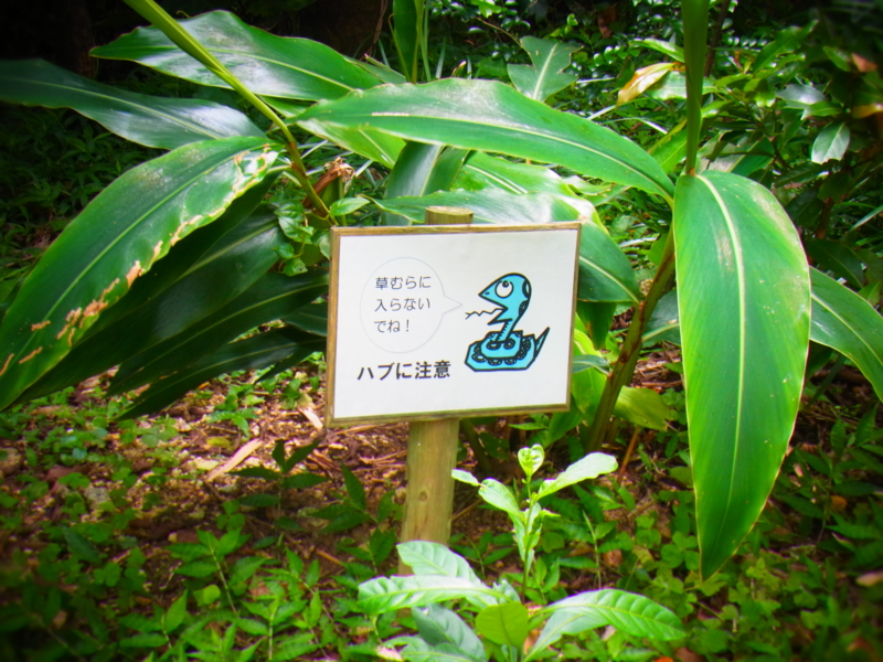 f:id:mihocomiho:20120527123546j:image f:id:mihocomiho:20120527123546j:image