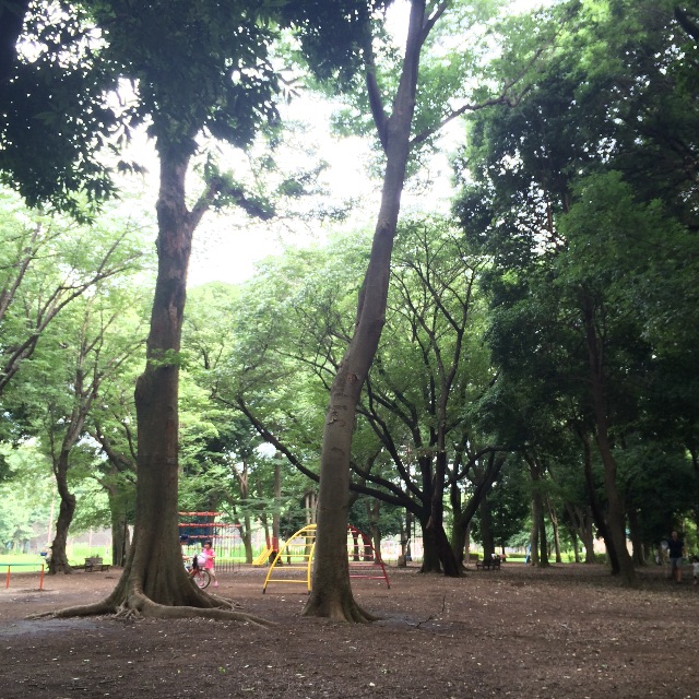 f:id:mihocomiho:20150719232348j:image f:id:mihocomiho:20150719232348j:image