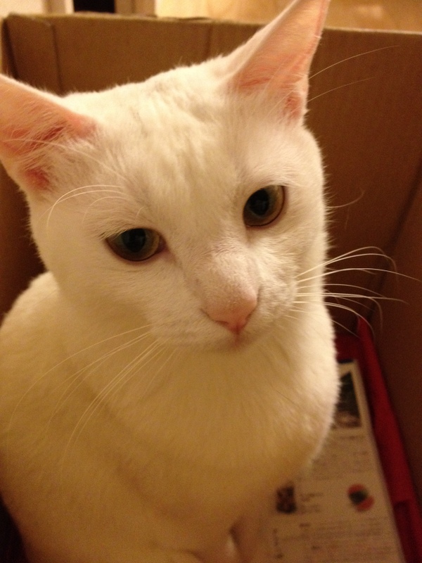 f:id:mijumama:20120510004455j:image:w360 f:id:mijumama:20120510004455j:image:w360