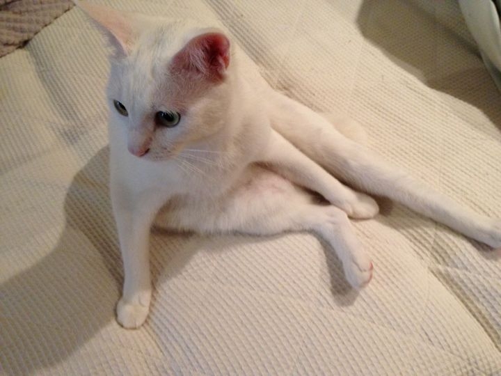 f:id:mijumama:20120617195833j:image f:id:mijumama:20120617195833j:image