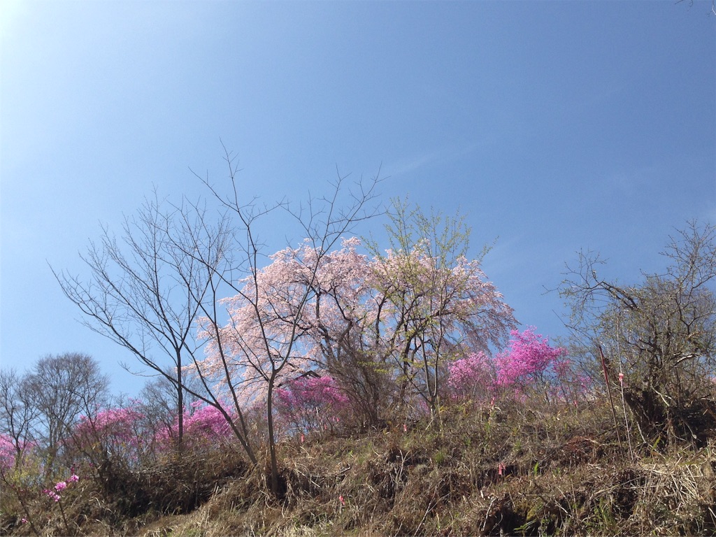 f:id:mika-shimosawa:20160409152413j:image f:id:mika-shimosawa:20160409152413j:image