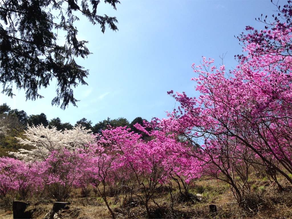 f:id:mika-shimosawa:20160409152423j:image f:id:mika-shimosawa:20160409152423j:image