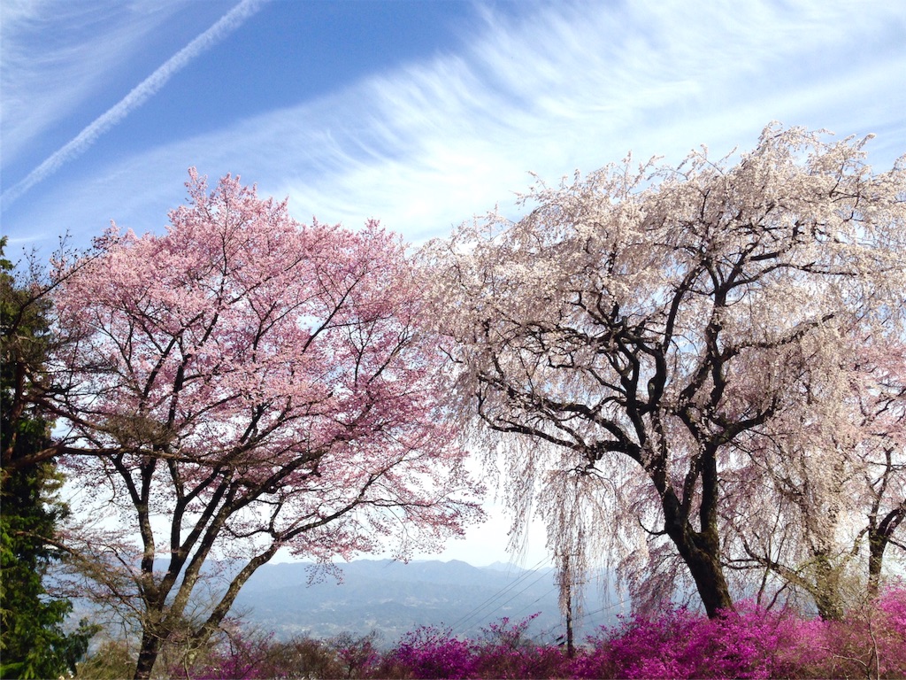 f:id:mika-shimosawa:20160409152705j:image f:id:mika-shimosawa:20160409152705j:image