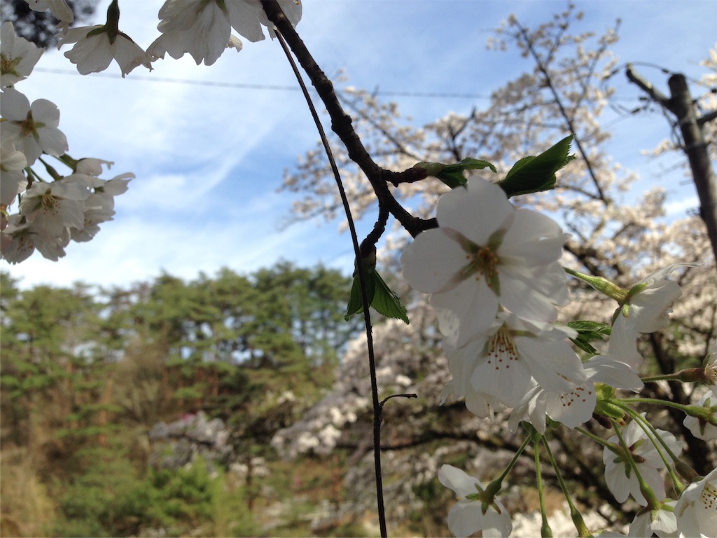 f:id:mika-shimosawa:20160409152930j:image f:id:mika-shimosawa:20160409152930j:image