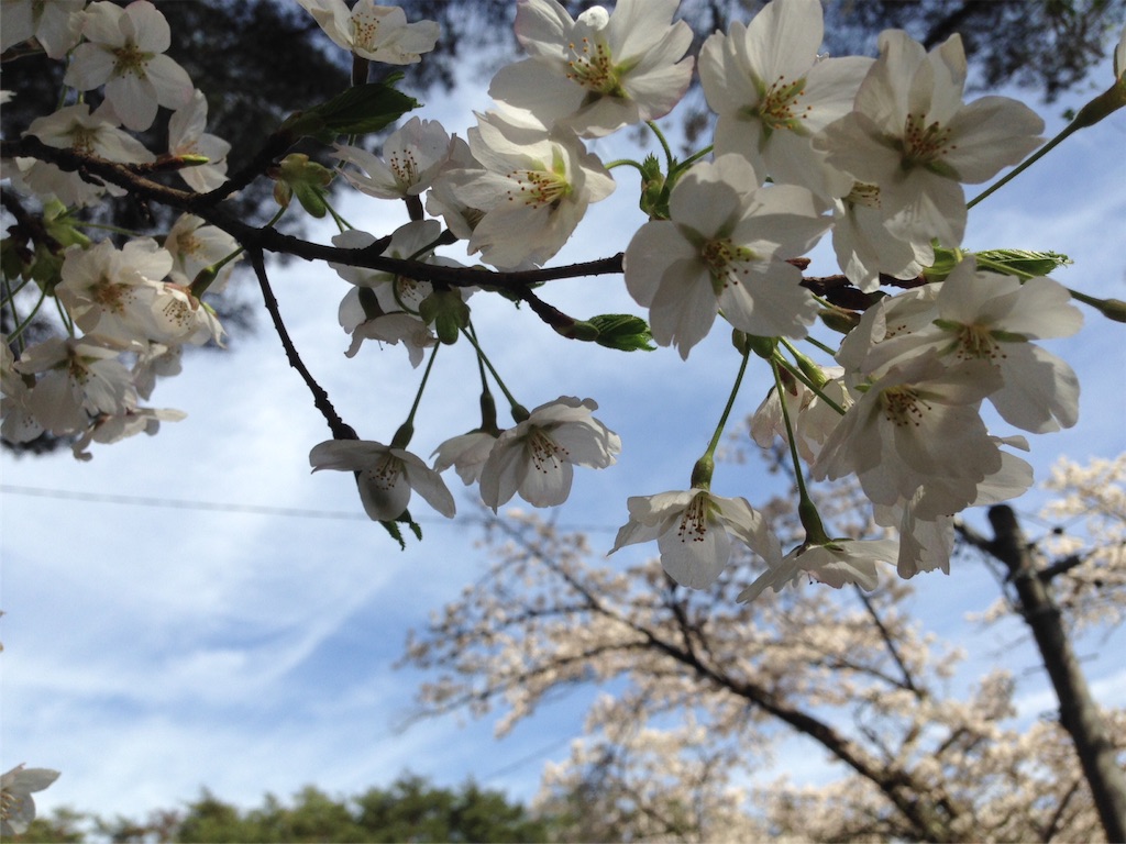 f:id:mika-shimosawa:20160409152944j:image f:id:mika-shimosawa:20160409152944j:image