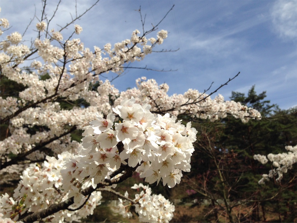 f:id:mika-shimosawa:20160409152958j:image f:id:mika-shimosawa:20160409152958j:image