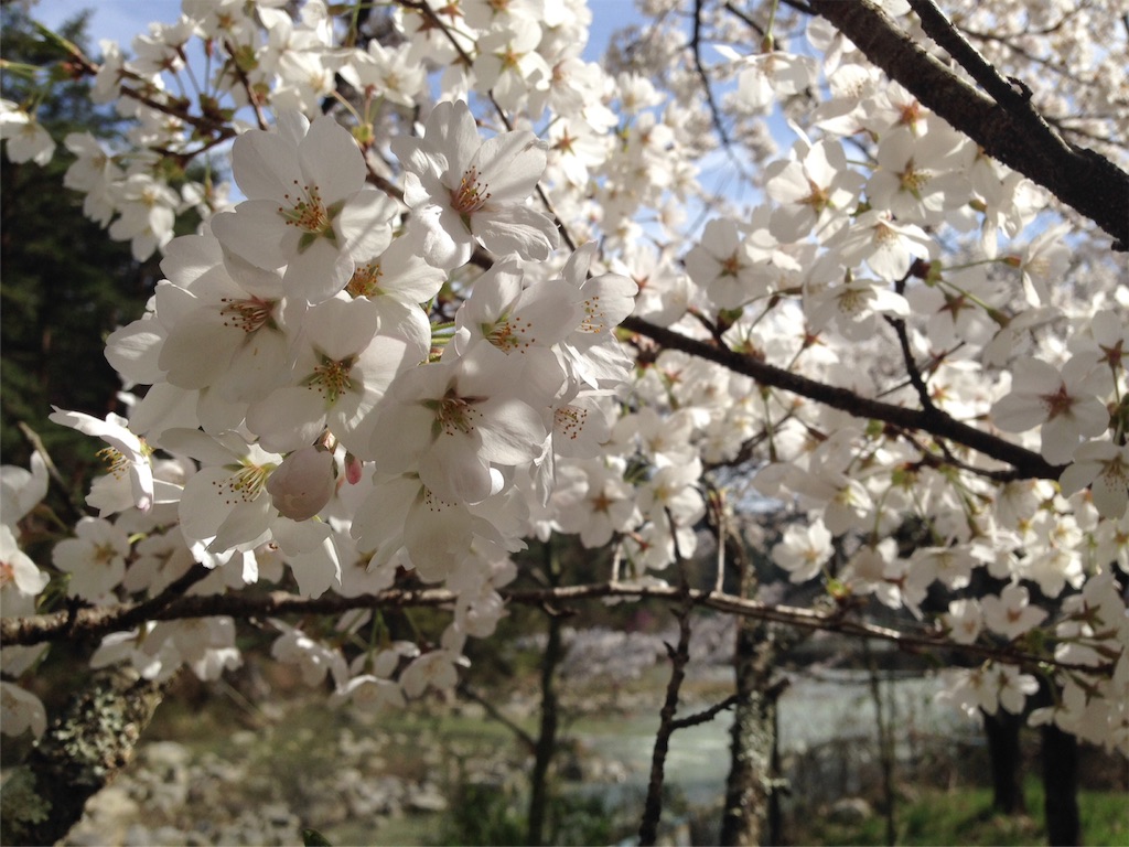 f:id:mika-shimosawa:20160409153019j:image f:id:mika-shimosawa:20160409153019j:image