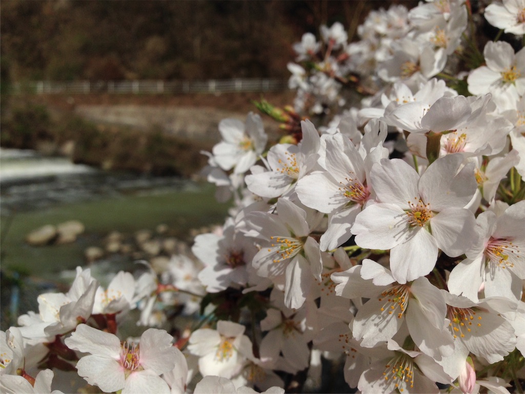 f:id:mika-shimosawa:20160409153118j:image f:id:mika-shimosawa:20160409153118j:image