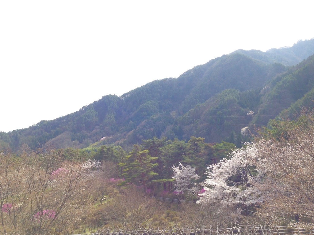 f:id:mika-shimosawa:20160409153223j:image f:id:mika-shimosawa:20160409153223j:image