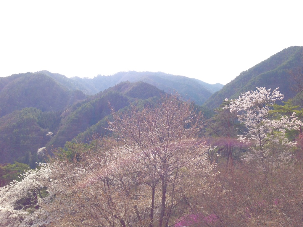 f:id:mika-shimosawa:20160409153234j:image f:id:mika-shimosawa:20160409153234j:image