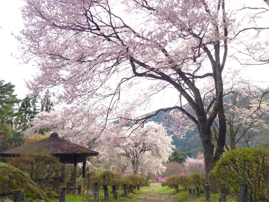 f:id:mika-shimosawa:20160409153245j:image f:id:mika-shimosawa:20160409153245j:image