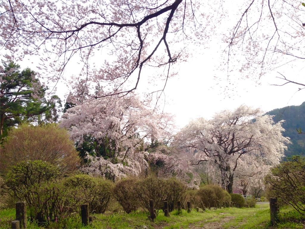f:id:mika-shimosawa:20160409153256j:image f:id:mika-shimosawa:20160409153256j:image