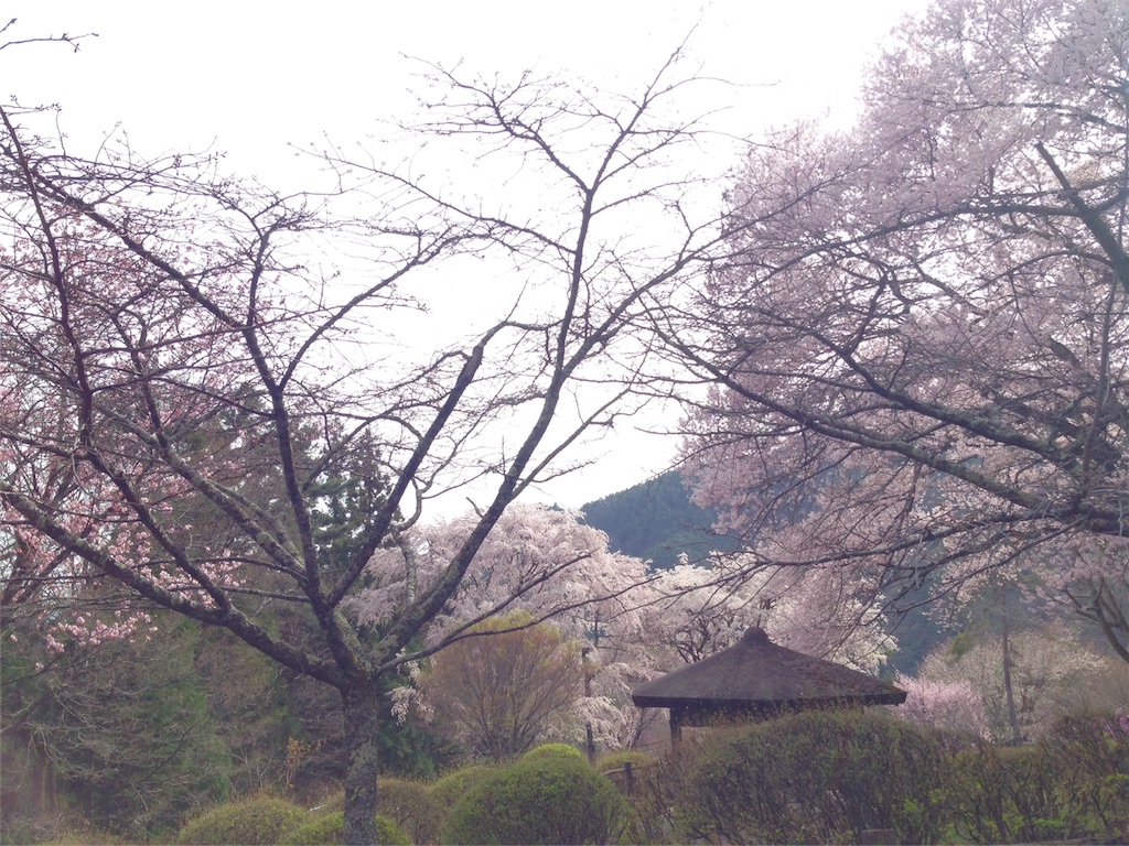 f:id:mika-shimosawa:20160409153351j:image f:id:mika-shimosawa:20160409153351j:image