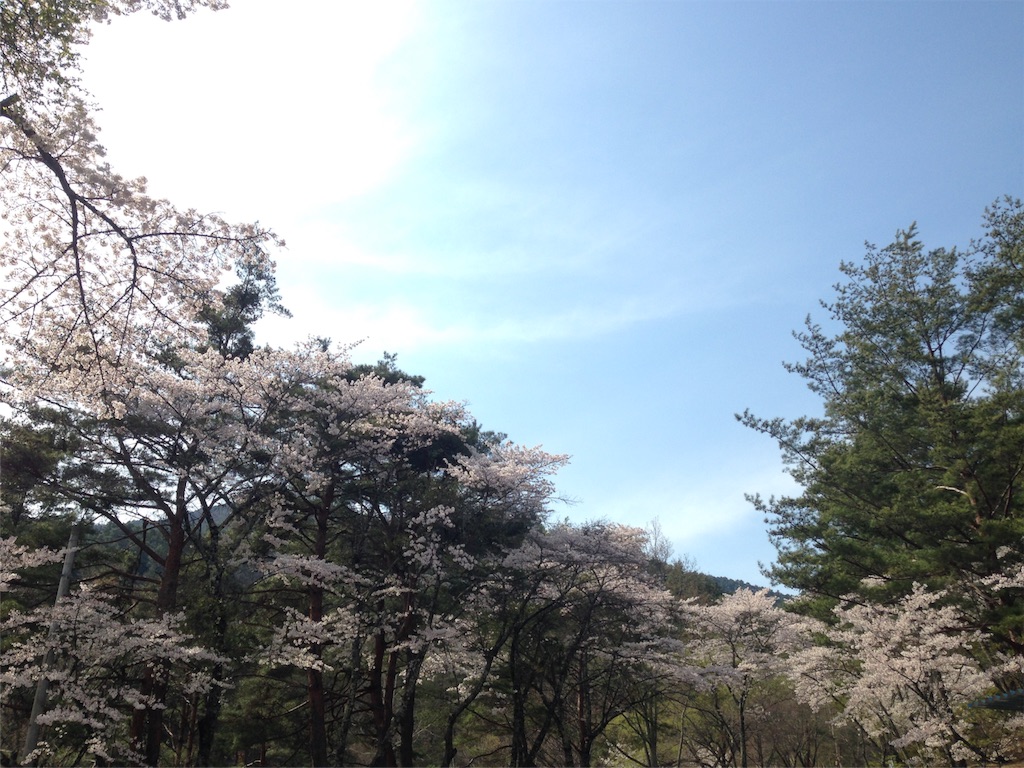 f:id:mika-shimosawa:20160417153822j:image f:id:mika-shimosawa:20160417153822j:image