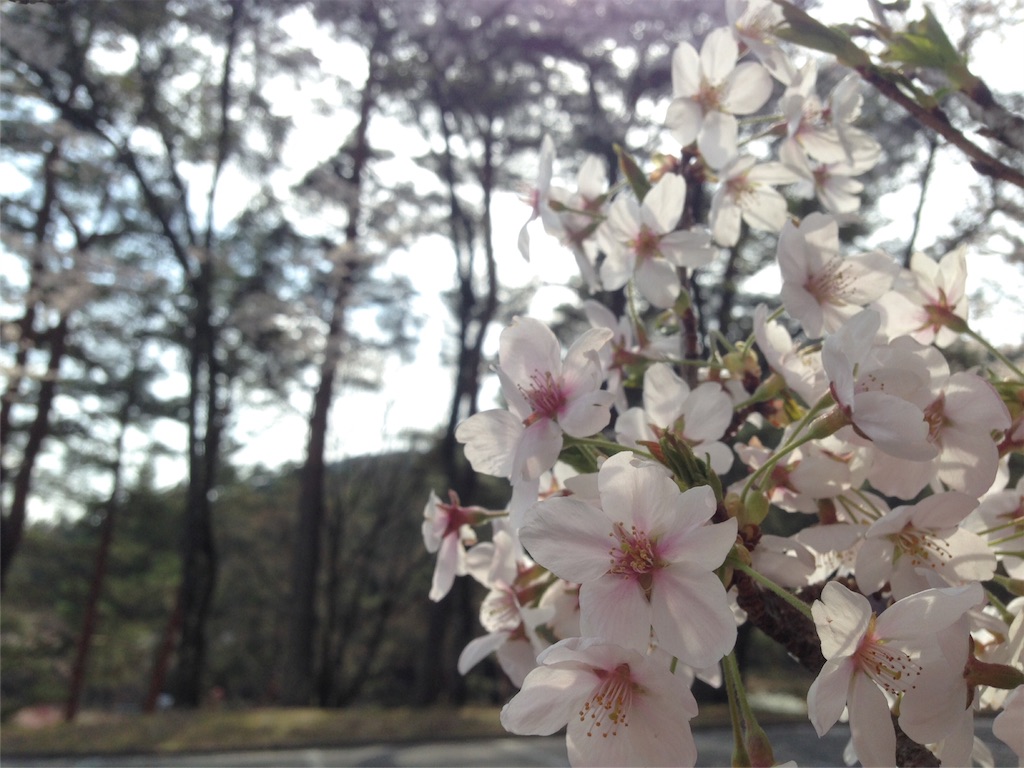 f:id:mika-shimosawa:20160417153839j:image f:id:mika-shimosawa:20160417153839j:image