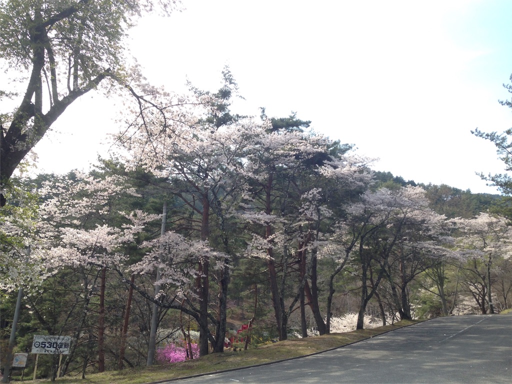 f:id:mika-shimosawa:20160417153854j:image f:id:mika-shimosawa:20160417153854j:image