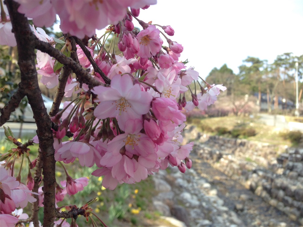 f:id:mika-shimosawa:20160417154008j:image f:id:mika-shimosawa:20160417154008j:image