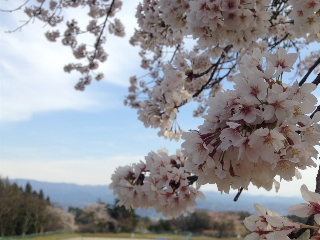 f:id:mika-shimosawa:20160417154050j:image f:id:mika-shimosawa:20160417154050j:image