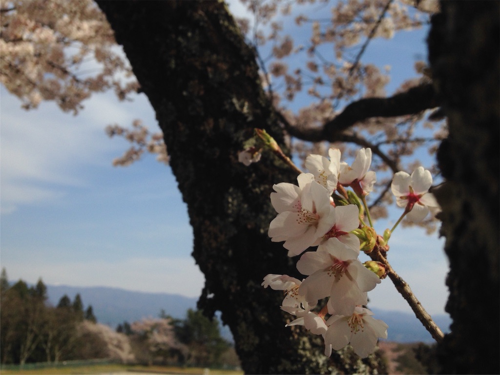 f:id:mika-shimosawa:20160417154108j:image f:id:mika-shimosawa:20160417154108j:image